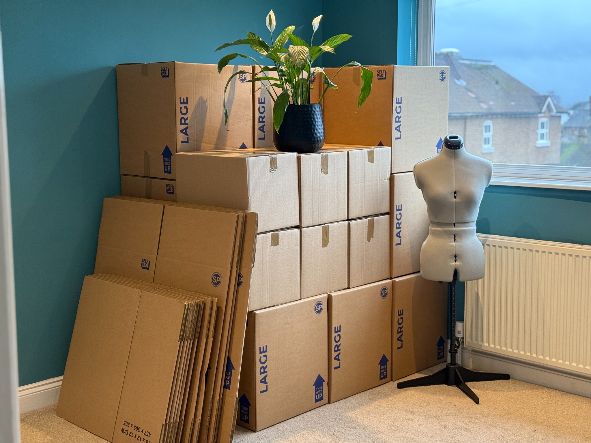 A carefully arranged selection of removal boxes ready for packing household belongings